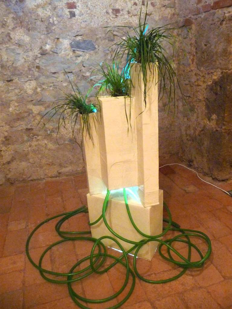 hidden green